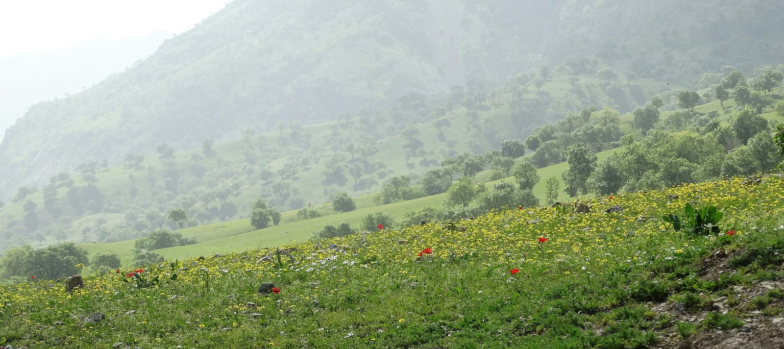 Herausforderungen und Aussichten
