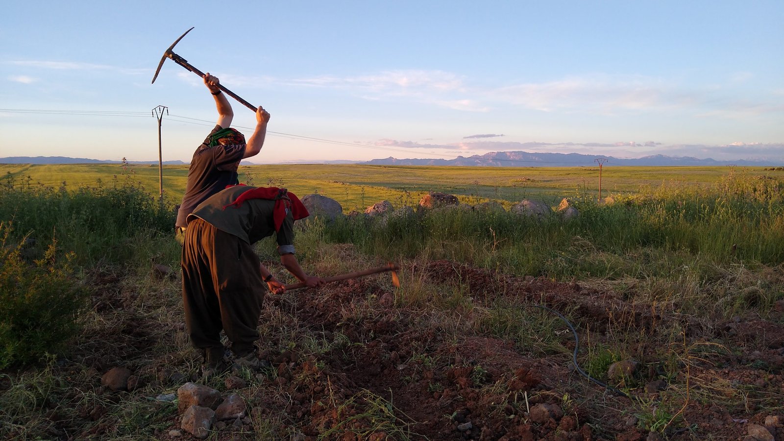 Sozialwirtschaft in der Praxis