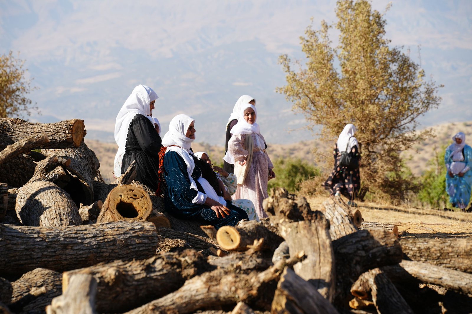 Von der Zerstörung der Natur zu nationalen Krisen