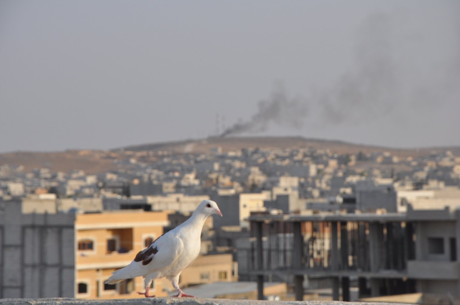 Von Chaos und Herrschaft Von Chaos und Herrschaft